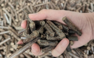 木屑燃料顆粒熱值多少大卡，完全取決于燃料的原料